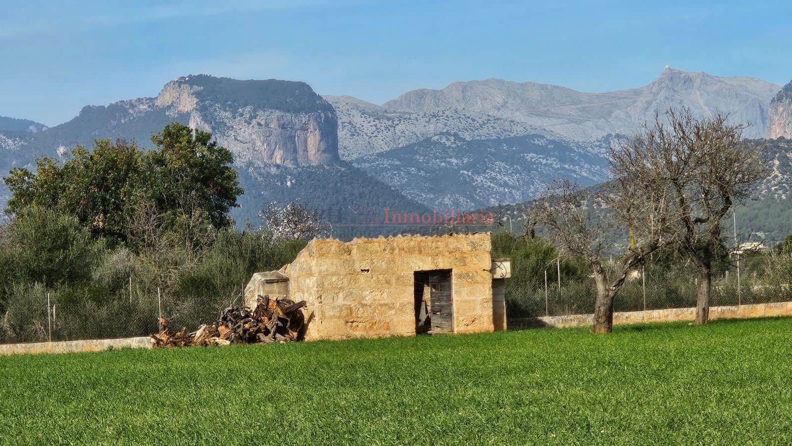 TERRENO RÚSTICO EDIFICABLE EN CONSELL - Foto 1