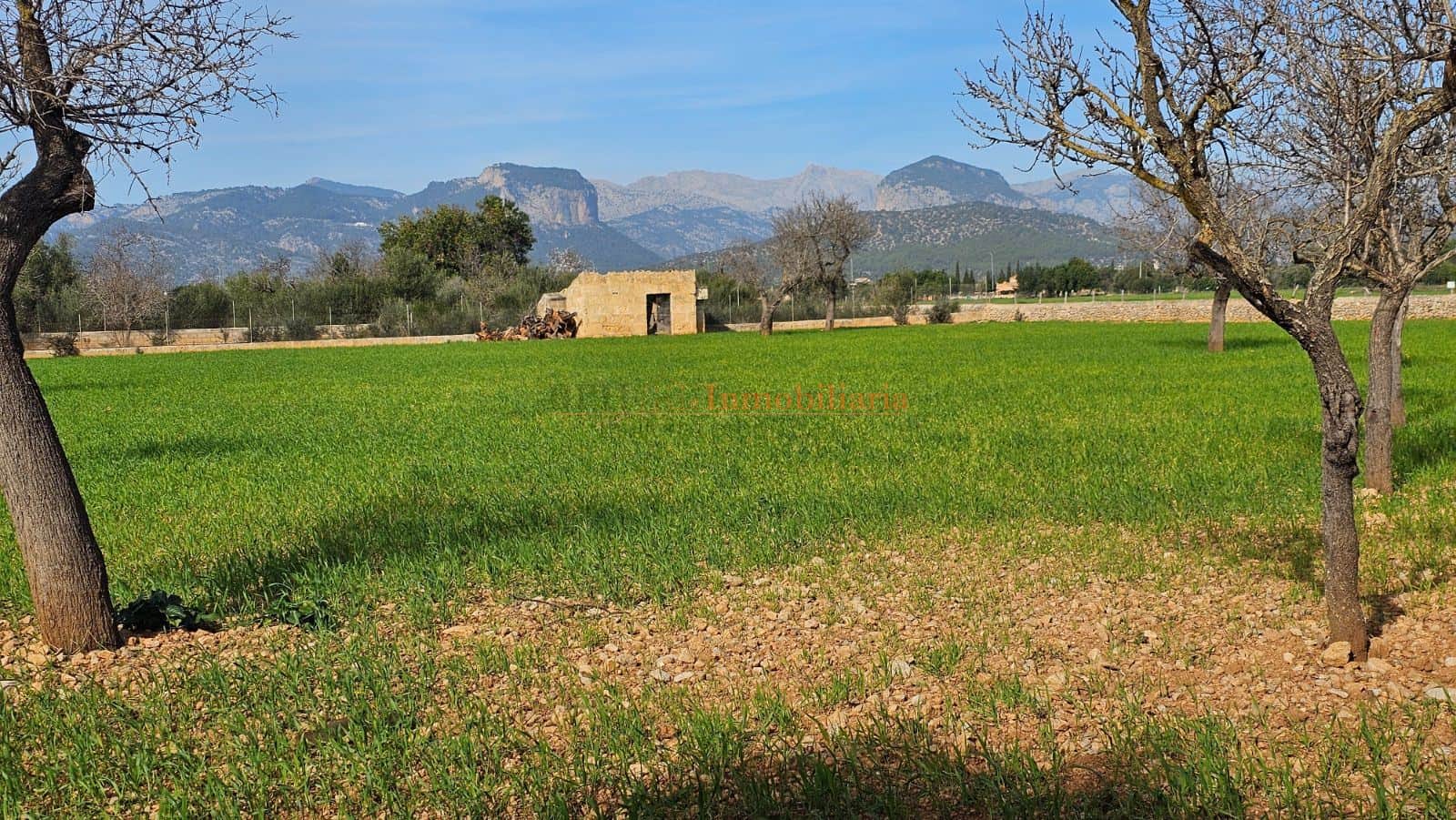 TERRENO RÚSTICO EDIFICABLE EN CONSELL - Foto 2