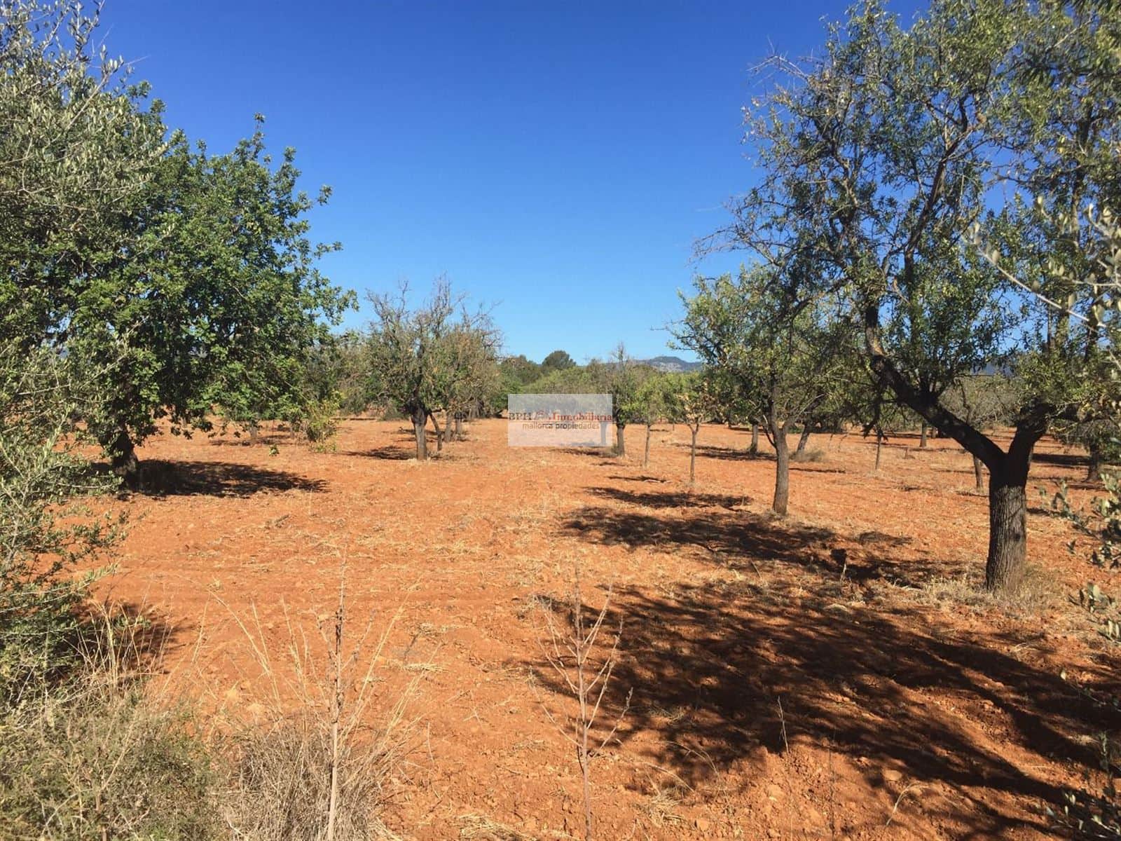 Terreno rústico urbanizable en Bunyola - Foto 1