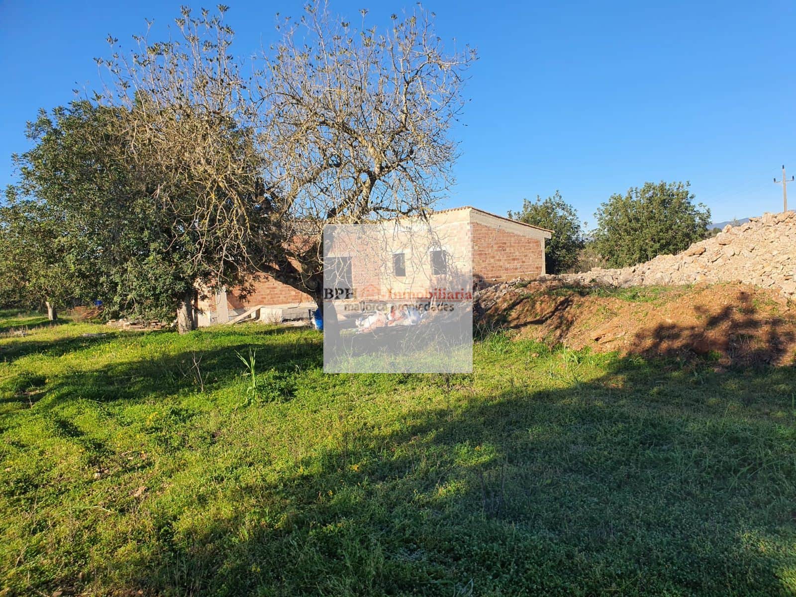 FINCA RÚSTICA CON PROYECTO DE OBRA NUEVA - Foto 2