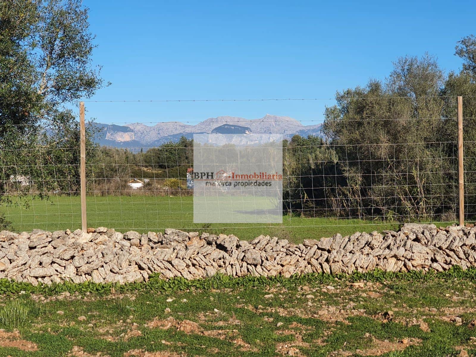 FINCA RÚSTICA CON PROYECTO DE OBRA NUEVA - Foto 4