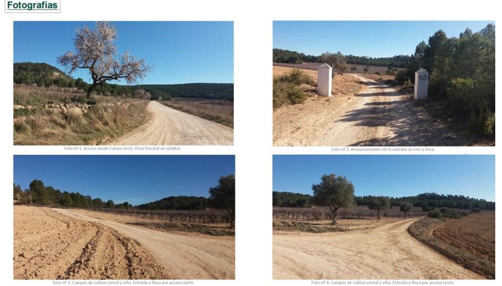 FINCA DE CAZA MAYOR EN UTIEL VALENCIA - Foto 1