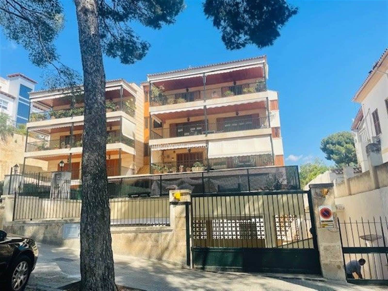 CONJUNTO DE 3 LOCALES EN ALQUILER EN SON ARMADAMS - Foto 1