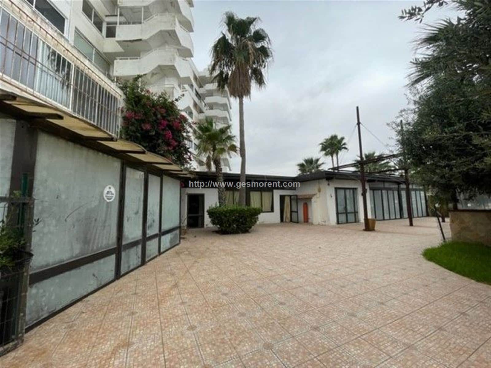 LOCAL COMERCIAL EN VENTA EN ALCUDIA - Foto 2