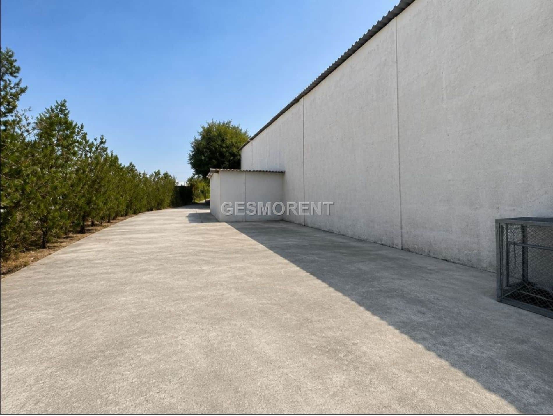 Nave industrial - Muro - Foto 1