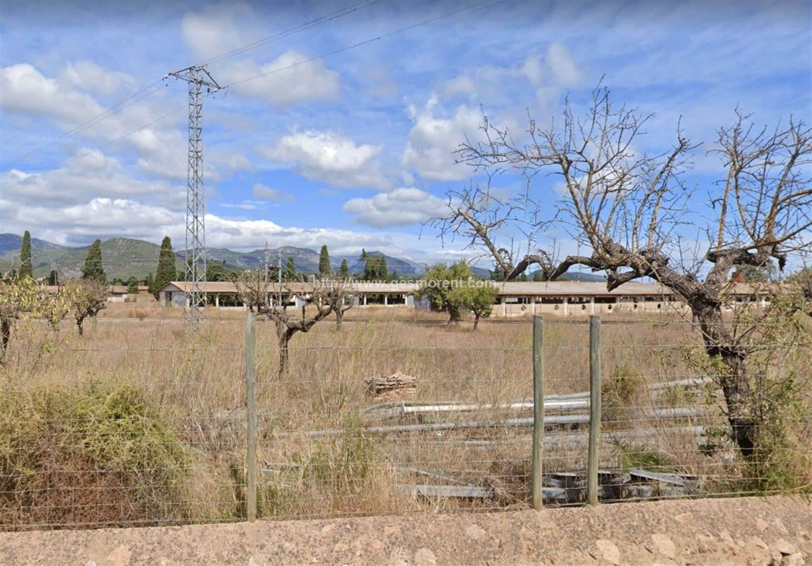 FINCA RÚSTICA EN VENTA EN SANTA MARÍA DEL CAMINO - Foto 3
