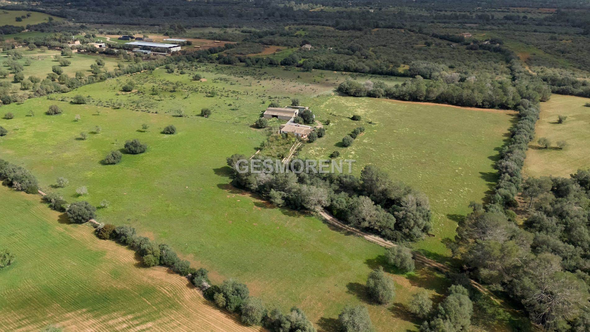 Terreno en venta en Porreres - Foto 3
