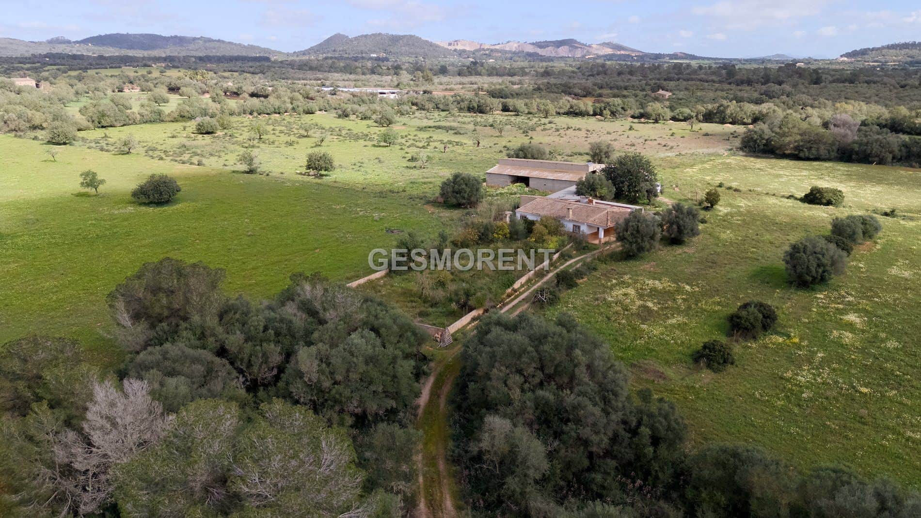 Terreno en venta en Porreres - Foto 4