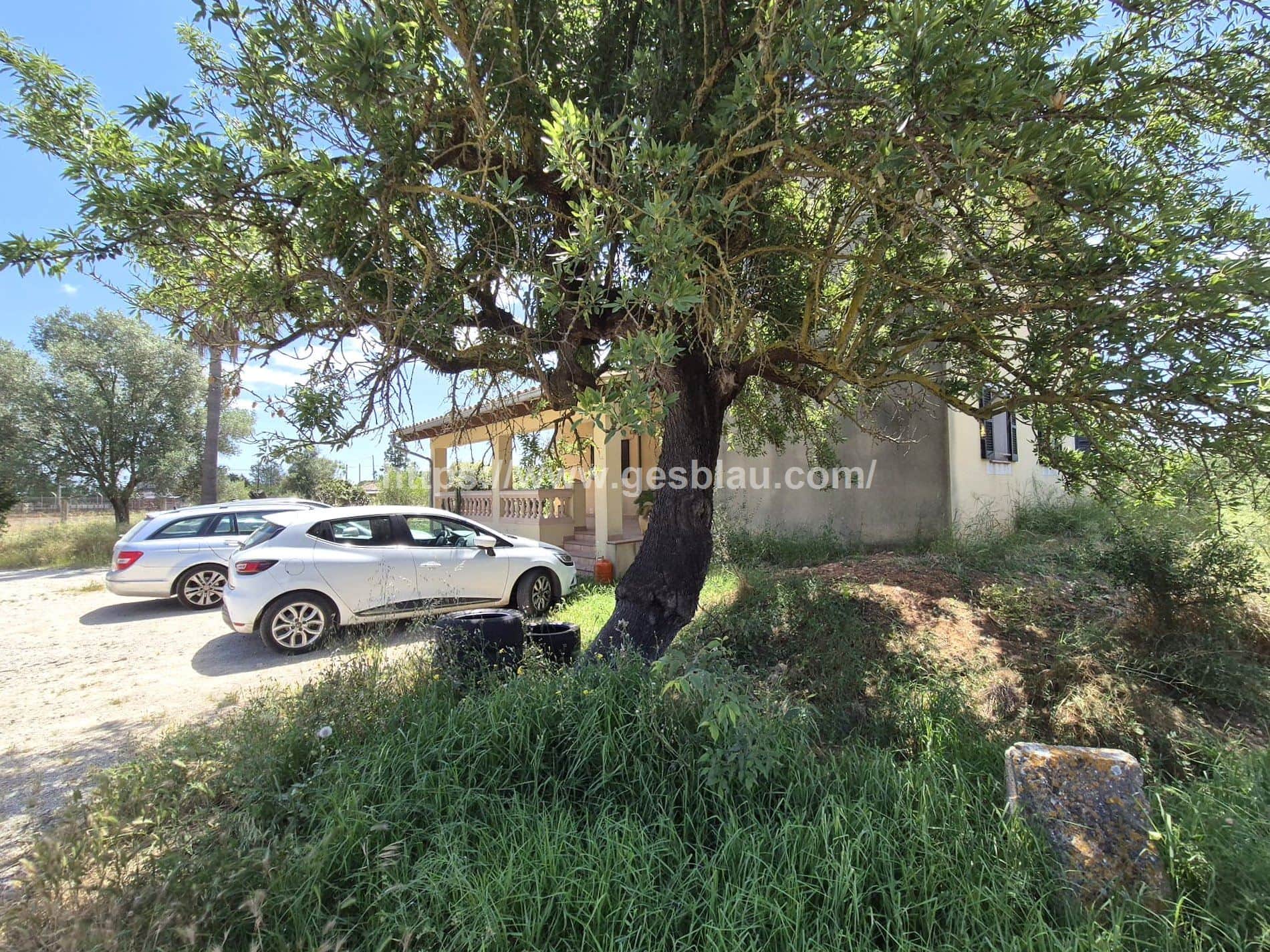 Finca rústica a pocos minutos de Inca con cédula de habitabilidad - Foto 3