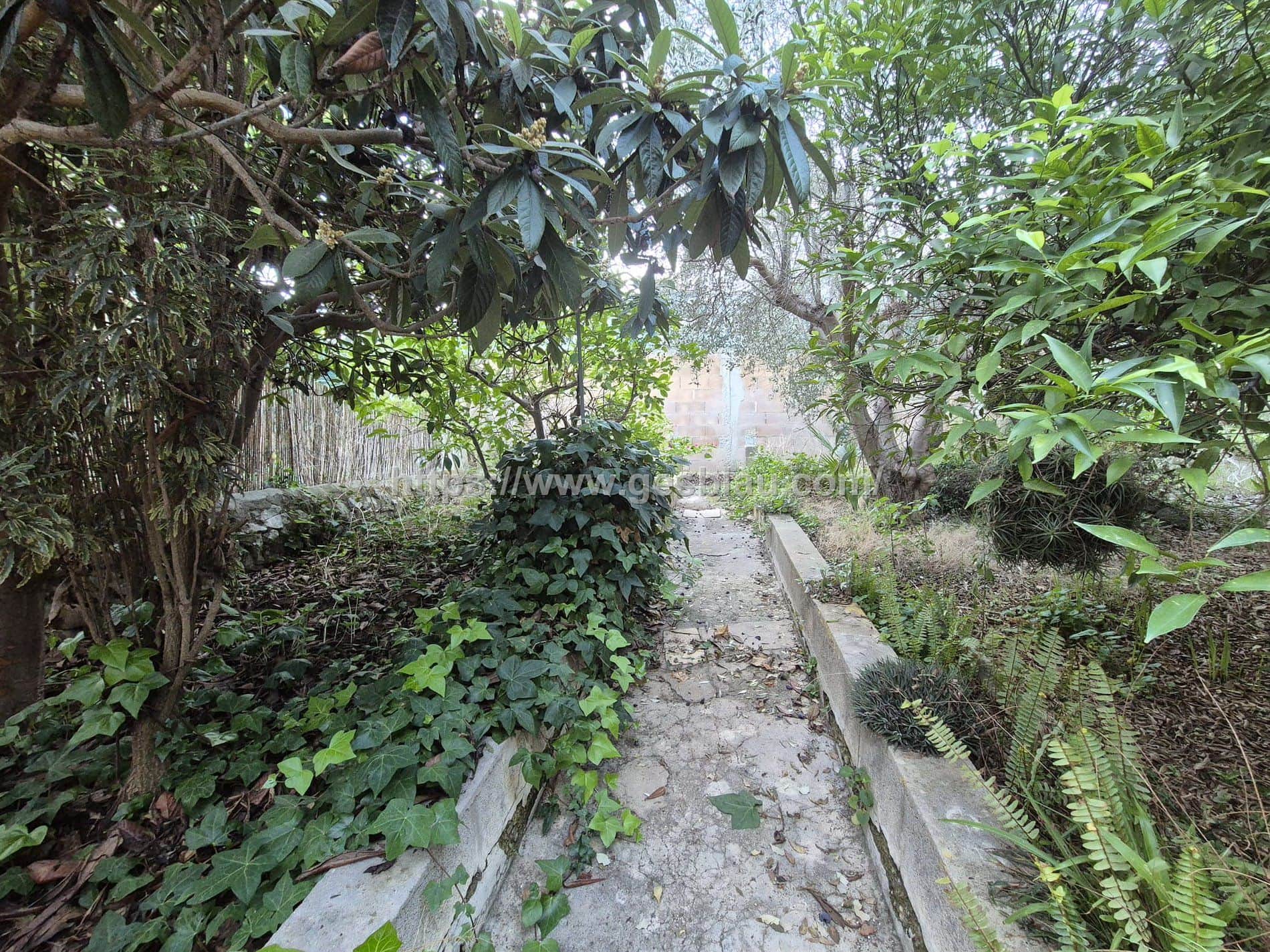 Gran casa con garaje y amplio patio en Selva – muchas posibilidades - Foto 2