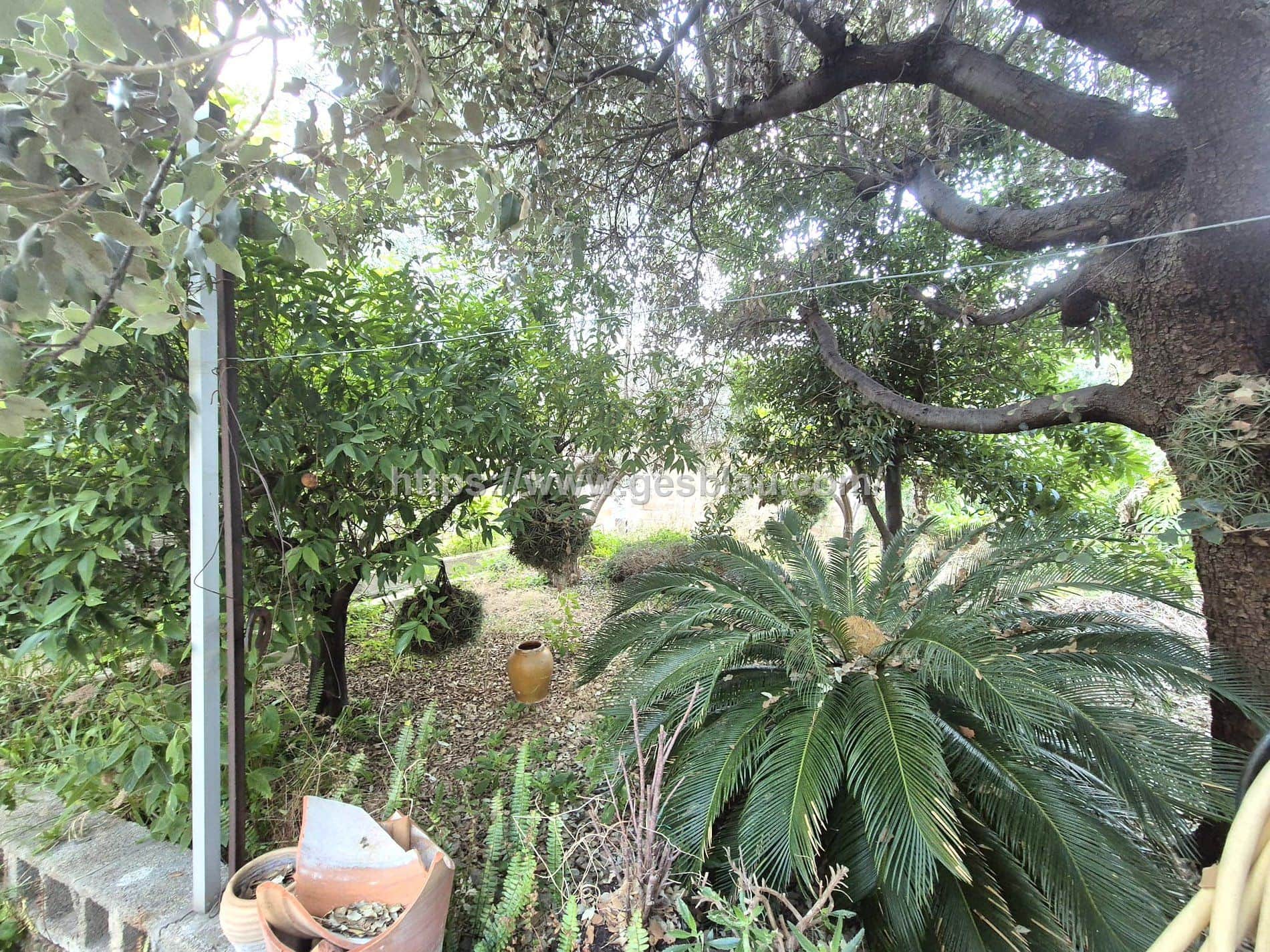 Gran casa con garaje y amplio patio en Selva – muchas posibilidades - Foto 1