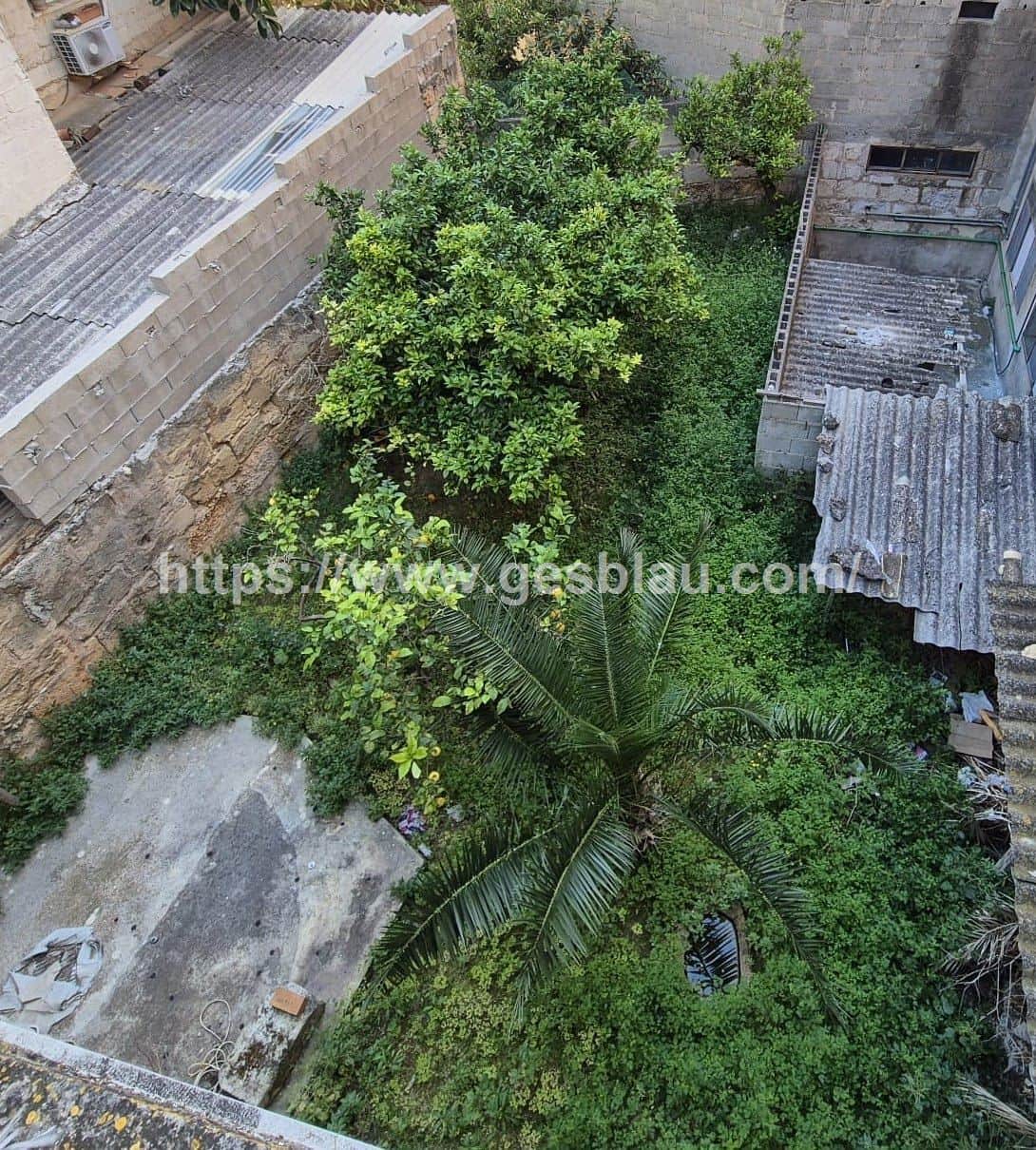 Planta baja con gran potencial: jardín, parking y amplio sótano - Foto 3
