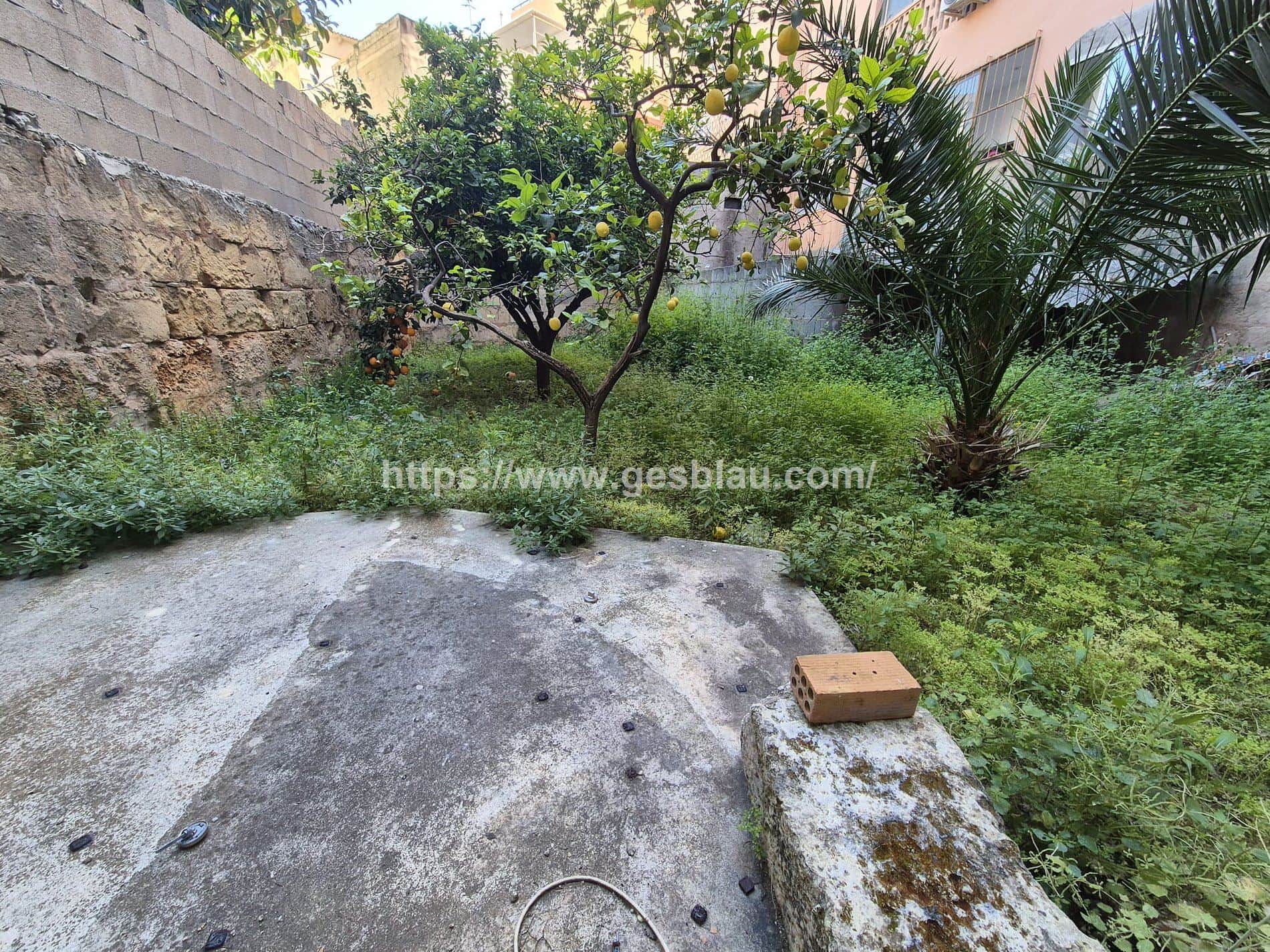 Planta baja con gran potencial: jardín, parking y amplio sótano - Foto 1