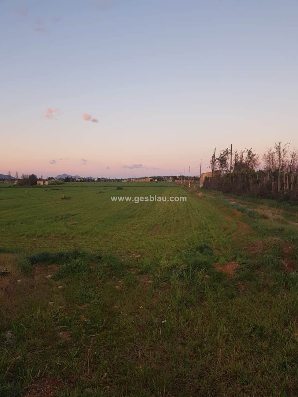 Llubi , Rustica c. projecto basico - Foto 1