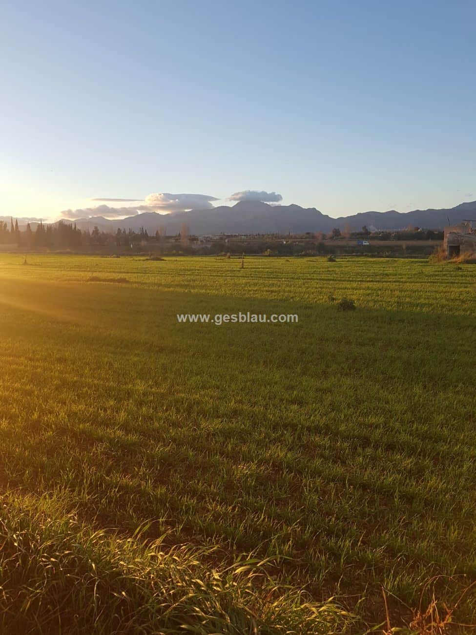 Llubi , Rustica c. projecto basico - Foto 3