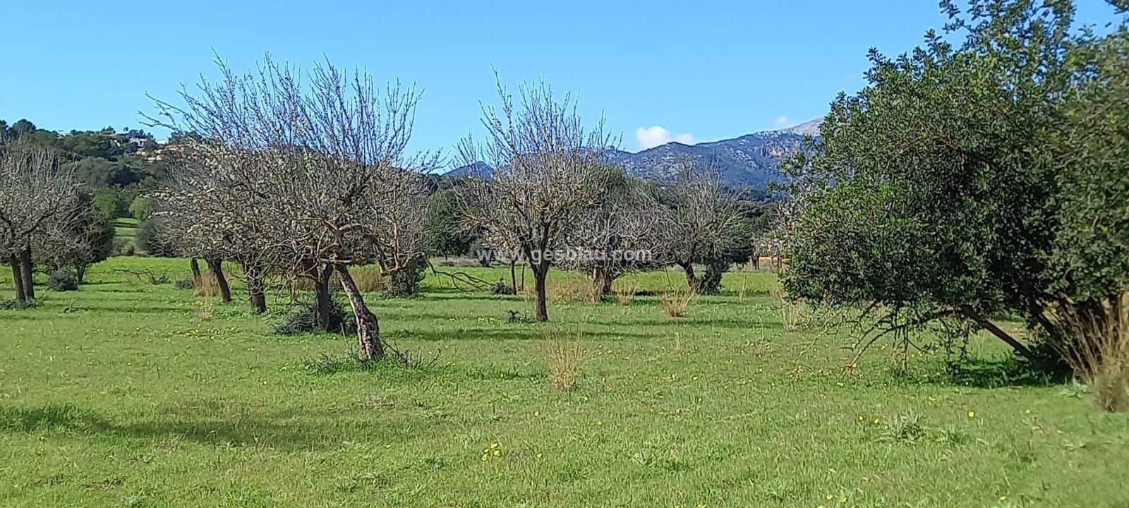 Terreno edificable - Foto 5