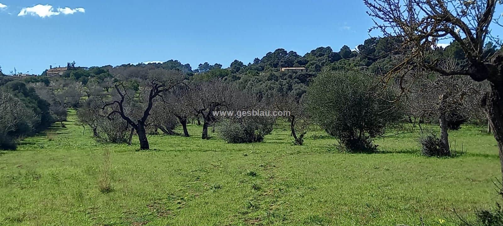 Terreno edificable - Foto 3