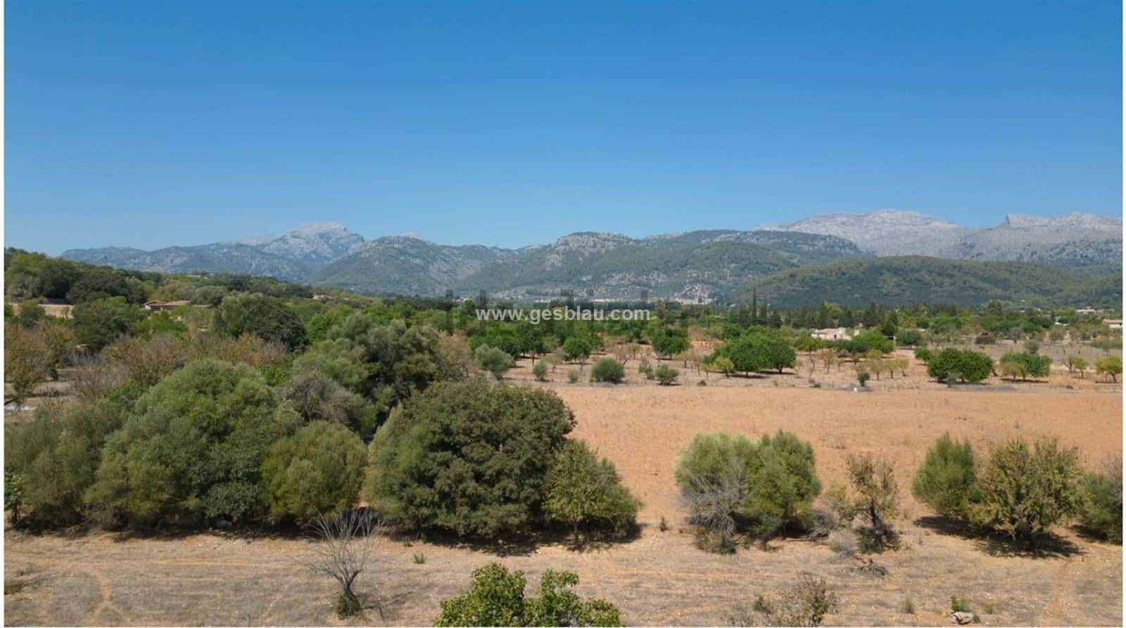 Terreno edificable - Foto 1