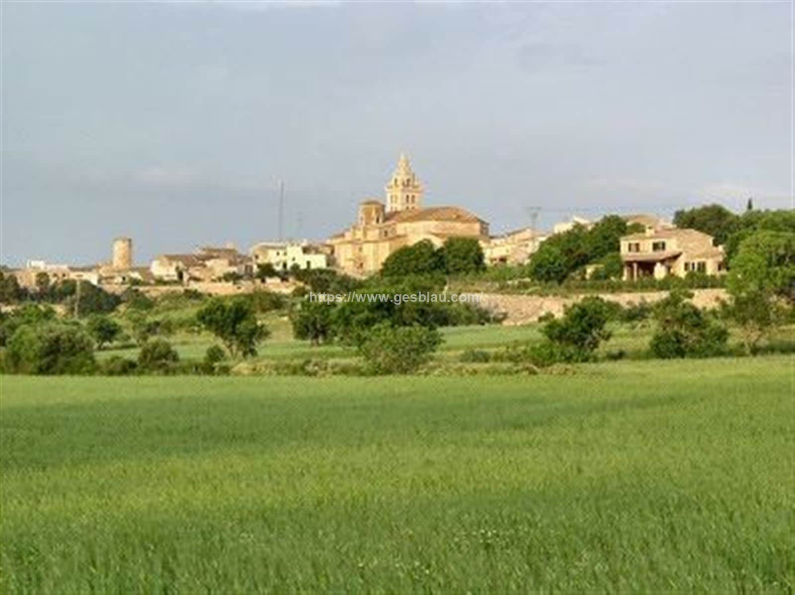 Terreno - Sencelles - Foto 1