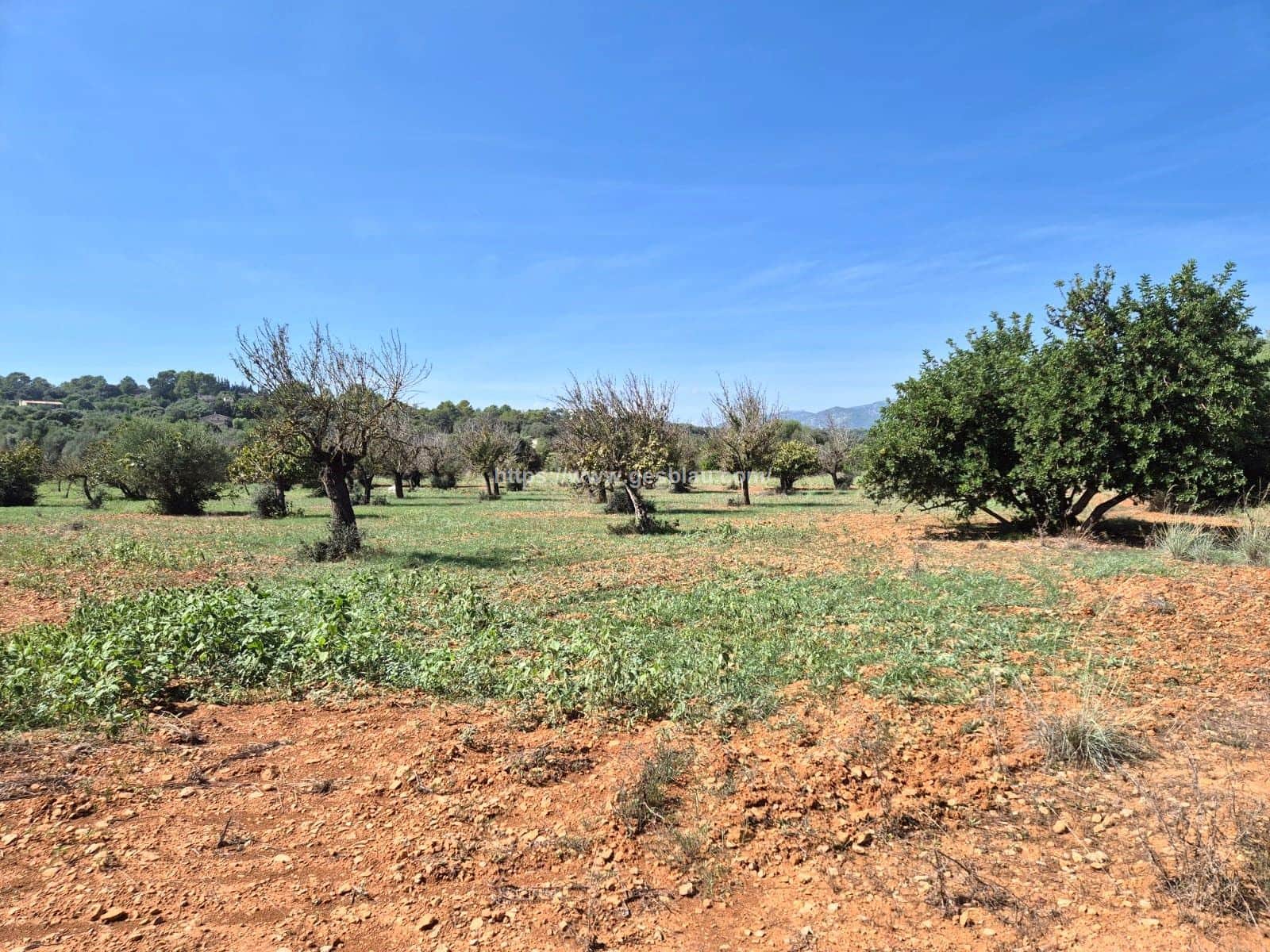 Terreno en venta con proyecto y licencia pagados - Foto 2