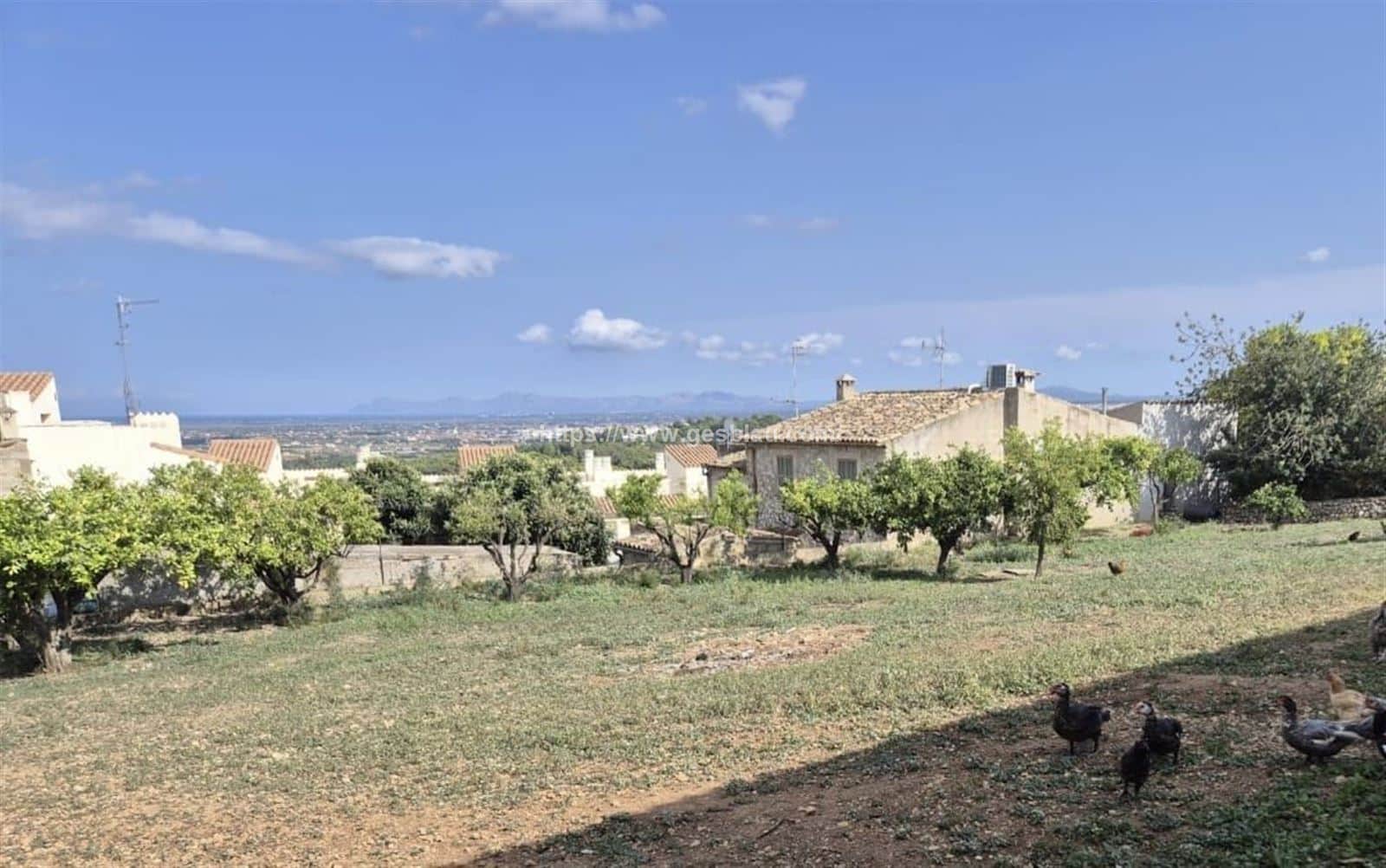 Terreno - Campanet - Foto 1