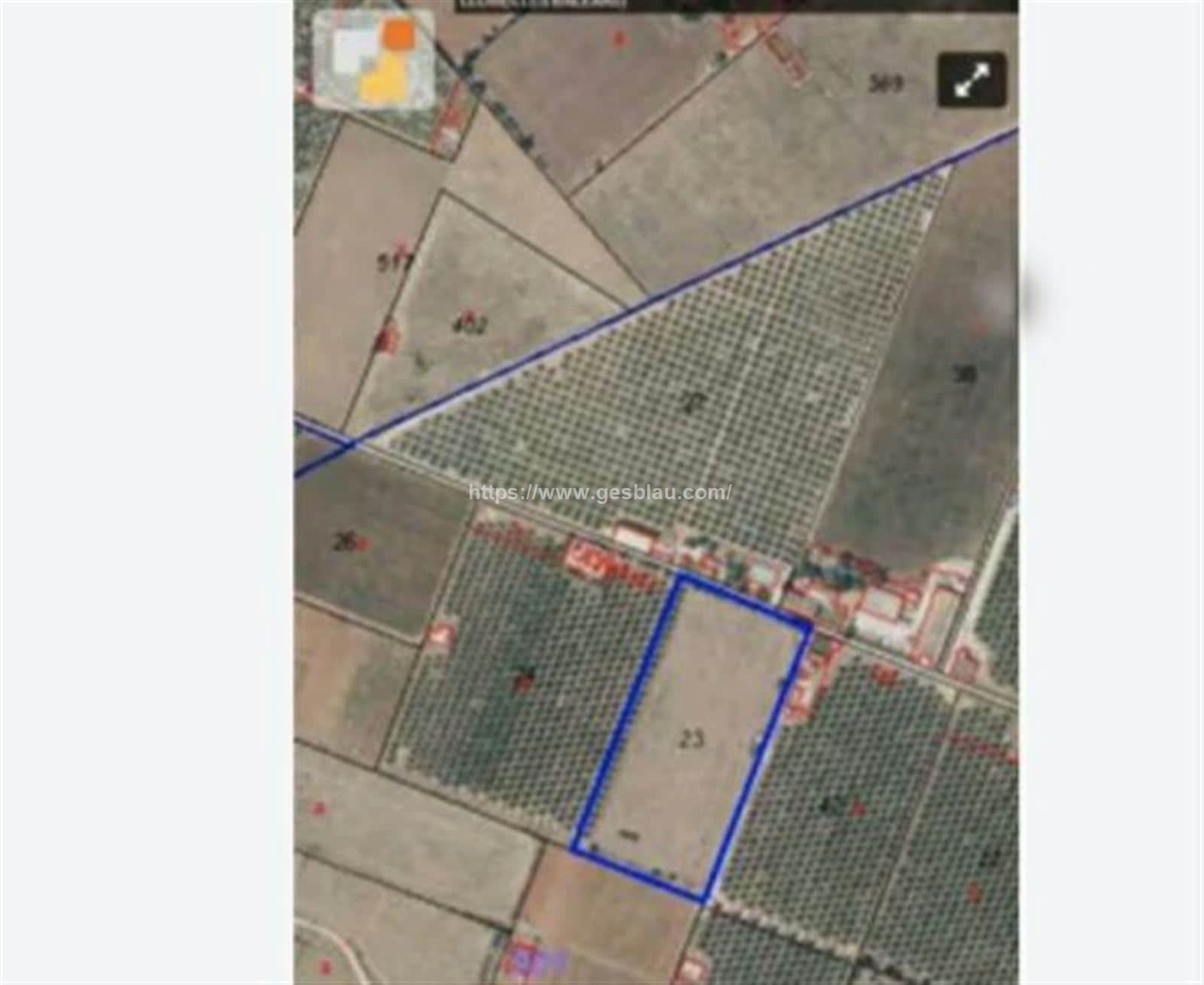 Finca rústica edificable - Foto 3