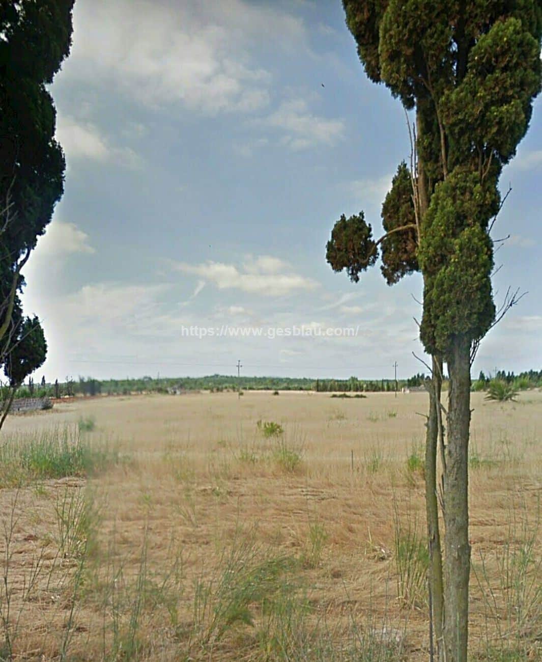 Finca rústica edificable - Foto 1