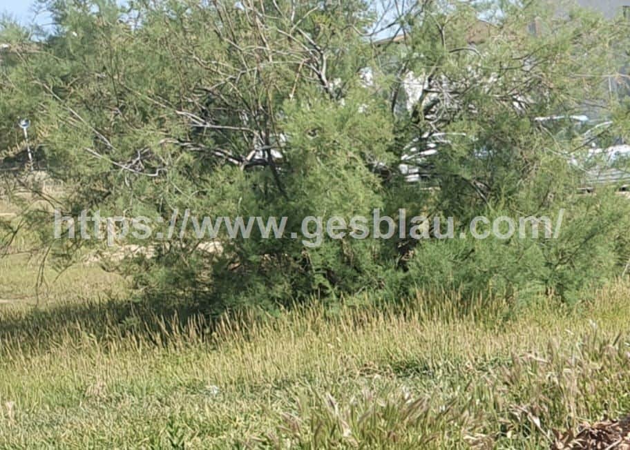 Solar urbano edificable - Foto 1