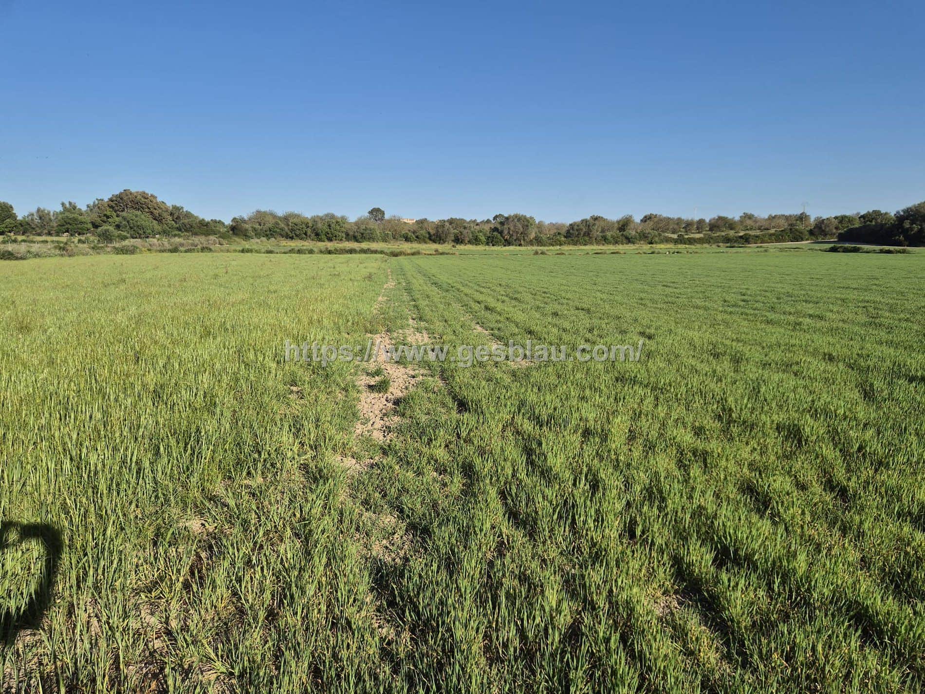 Terreno en venta en Muro - Foto 2