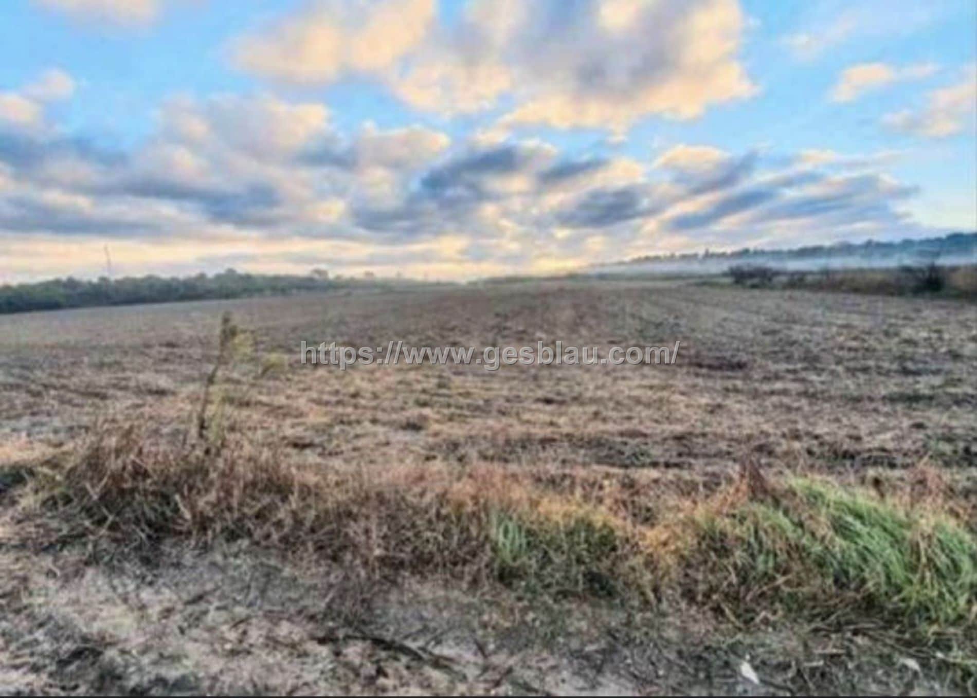 Terreno rústico - Foto 1