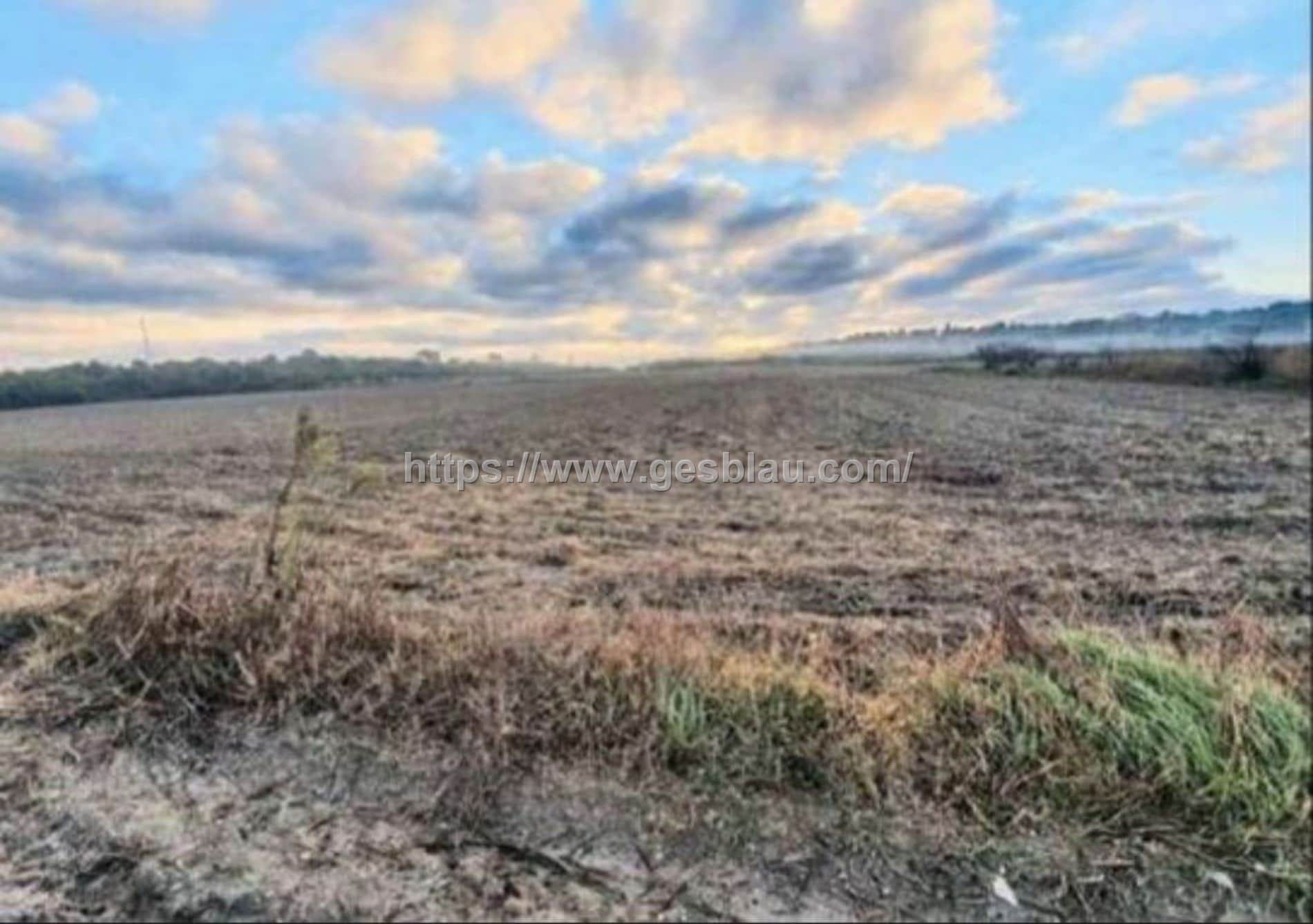 Terreno rústico - Foto 2