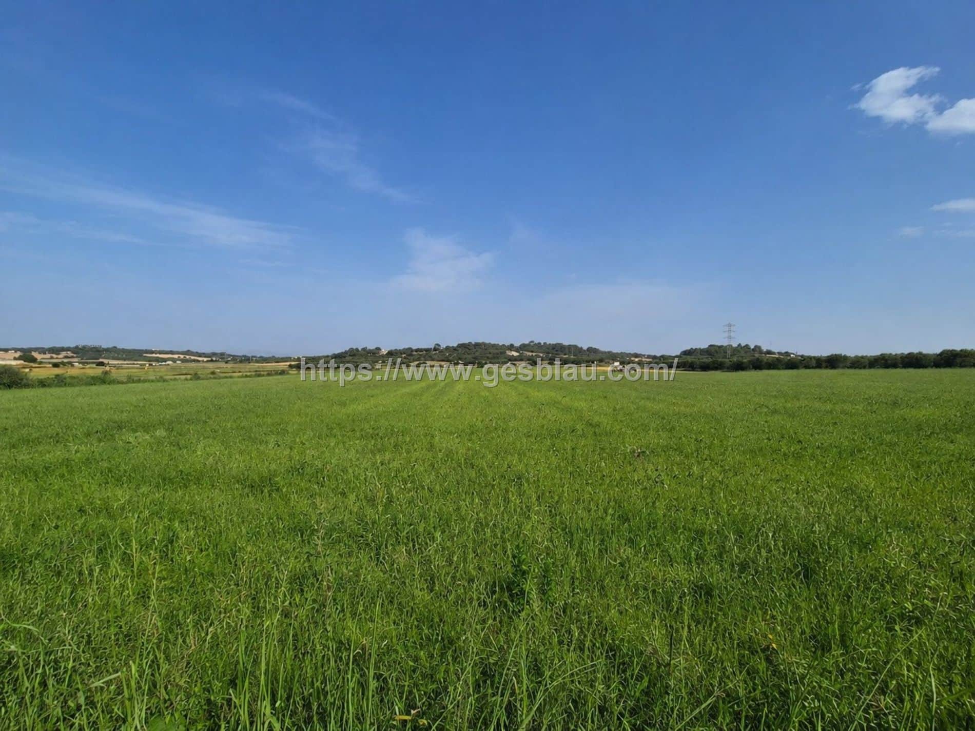 Terreno en venta en Muro - Foto 5