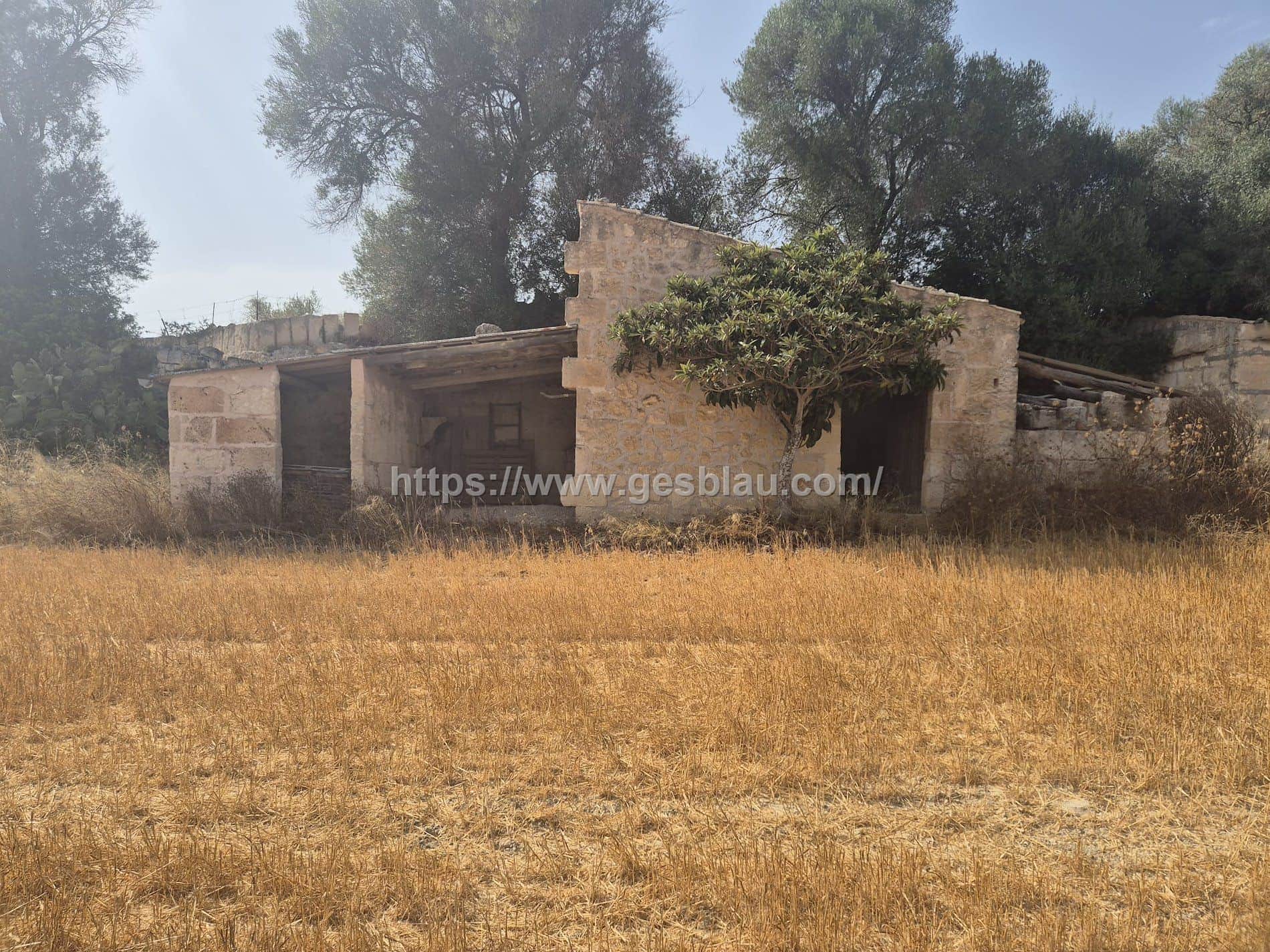 Terreno en venta en Muro - Foto 1