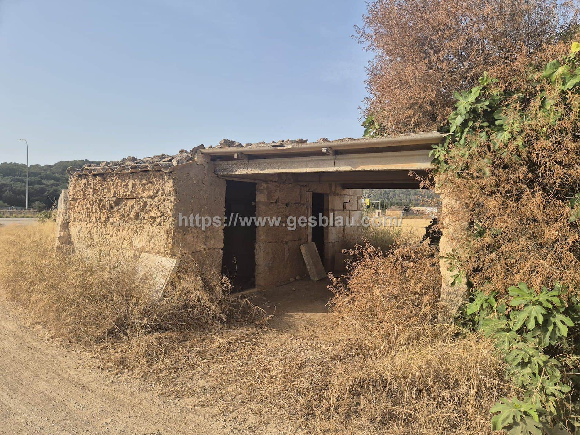Terreno en venta en Sa Pobla - Foto 1