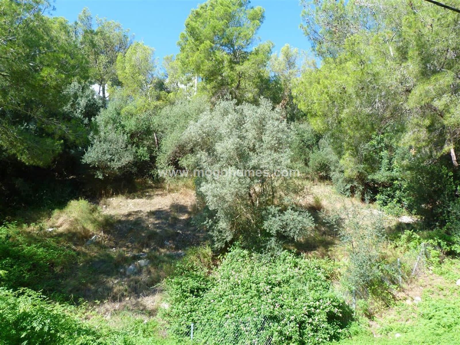 SOLAR CON VISTAS DESPEJADAS EN COSTA DE'N BLANES - Foto 3