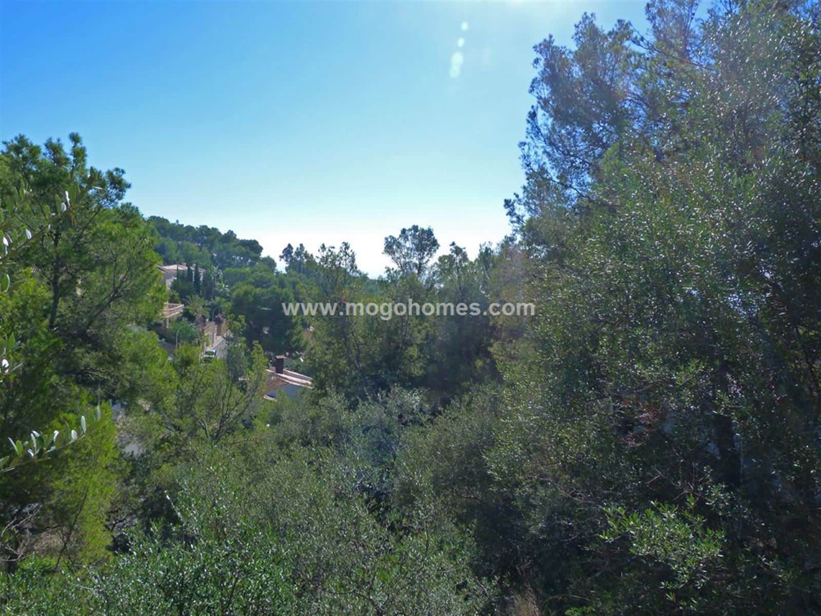 SOLAR CON VISTAS DESPEJADAS EN COSTA DE'N BLANES - Foto 2