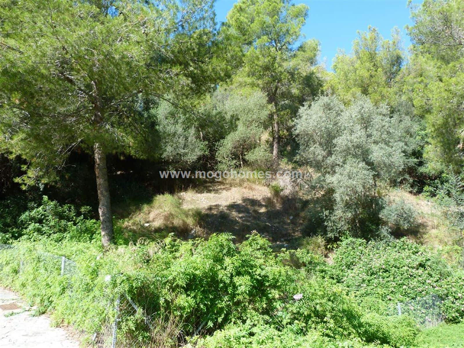 SOLAR CON VISTAS DESPEJADAS EN COSTA DE'N BLANES - Foto 4