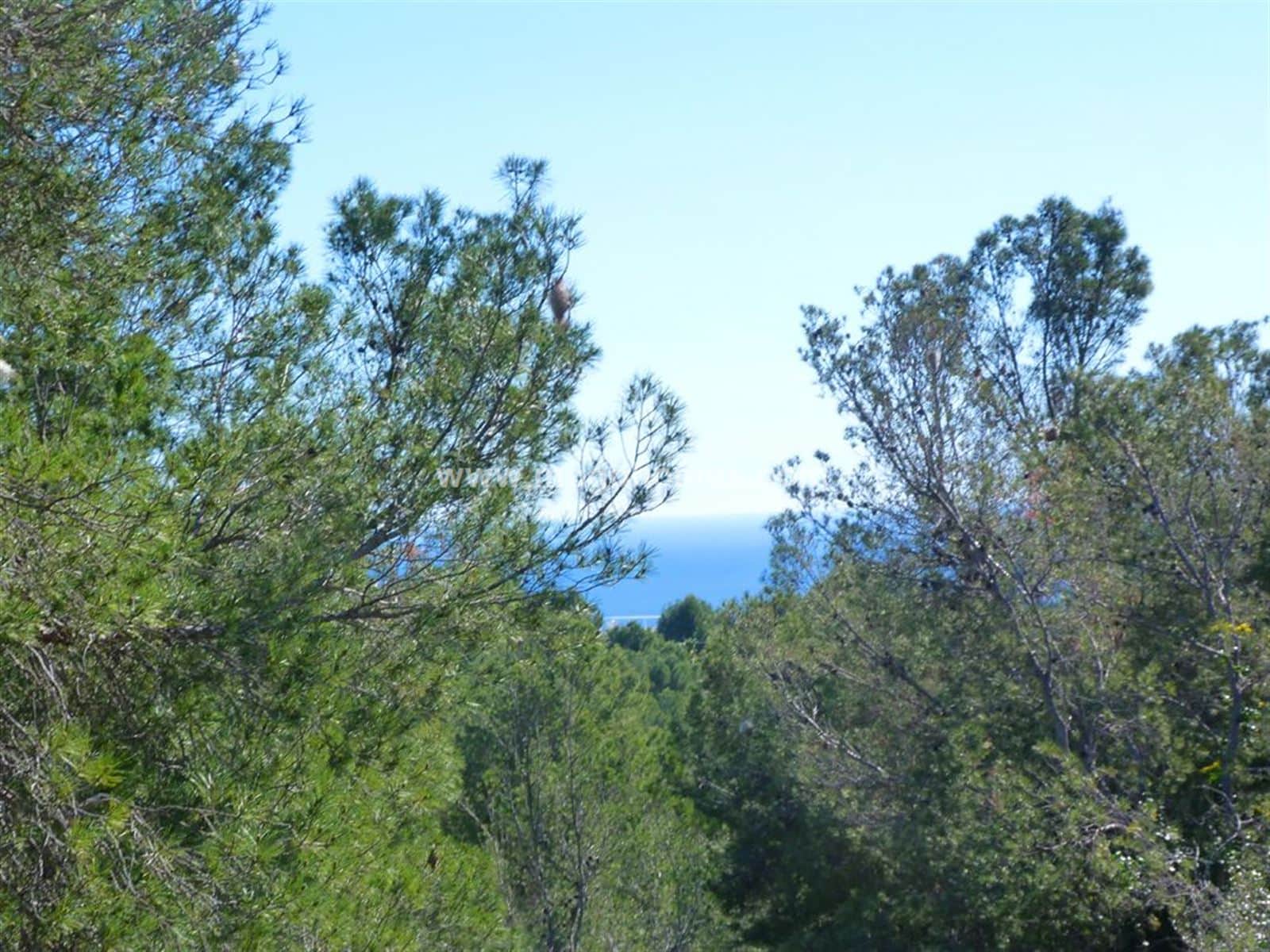 SOLAR CON VISTAS DESPEJADAS EN COSTA DE'N BLANES - Foto 1