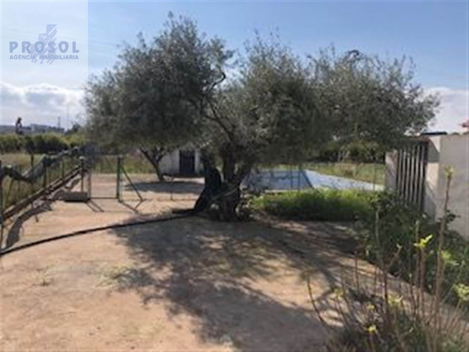 Finca rústica en venta en Villarreal - Foto 2