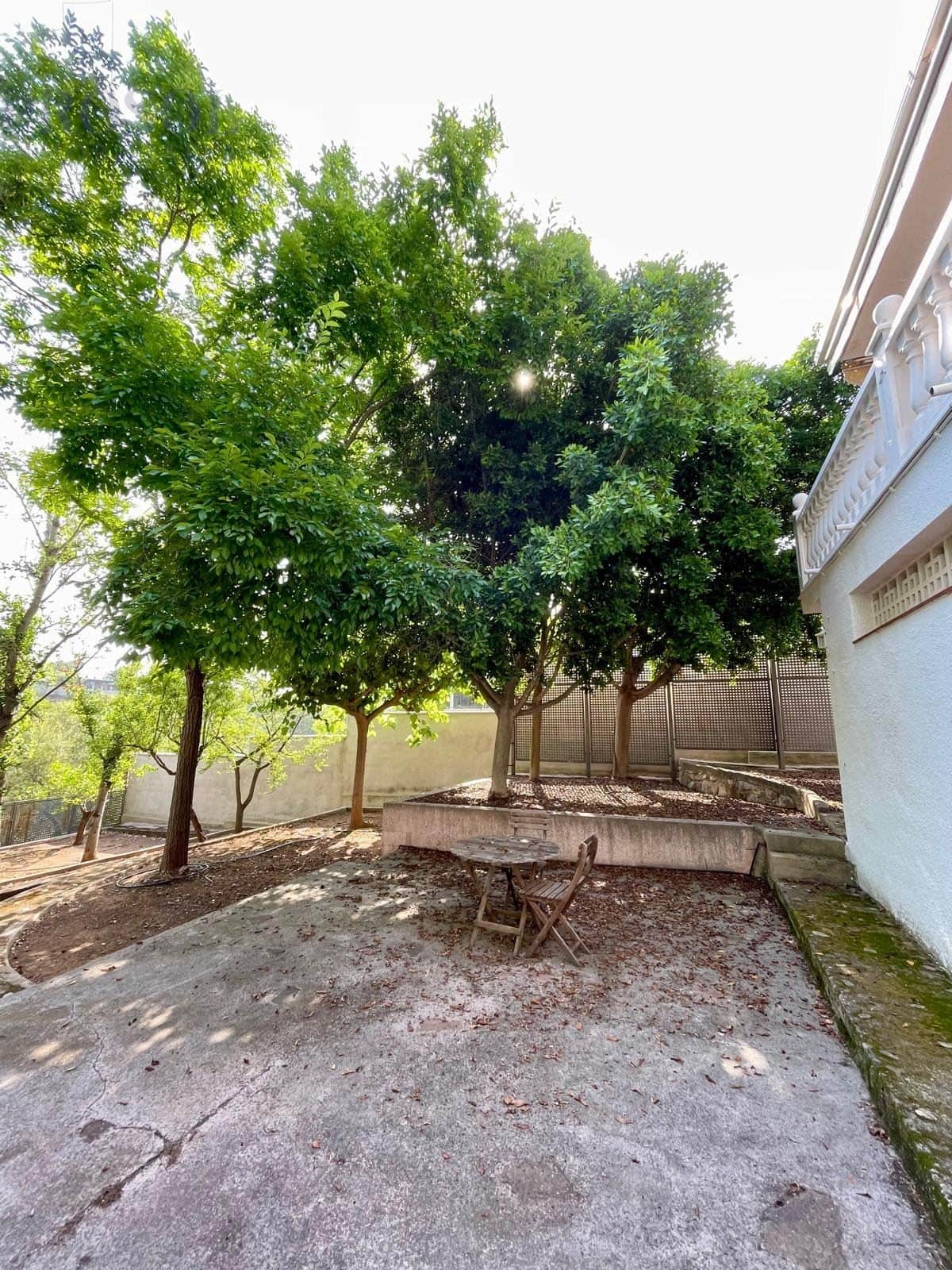 MASET EN FOIA DELS ANGELS - Foto 2