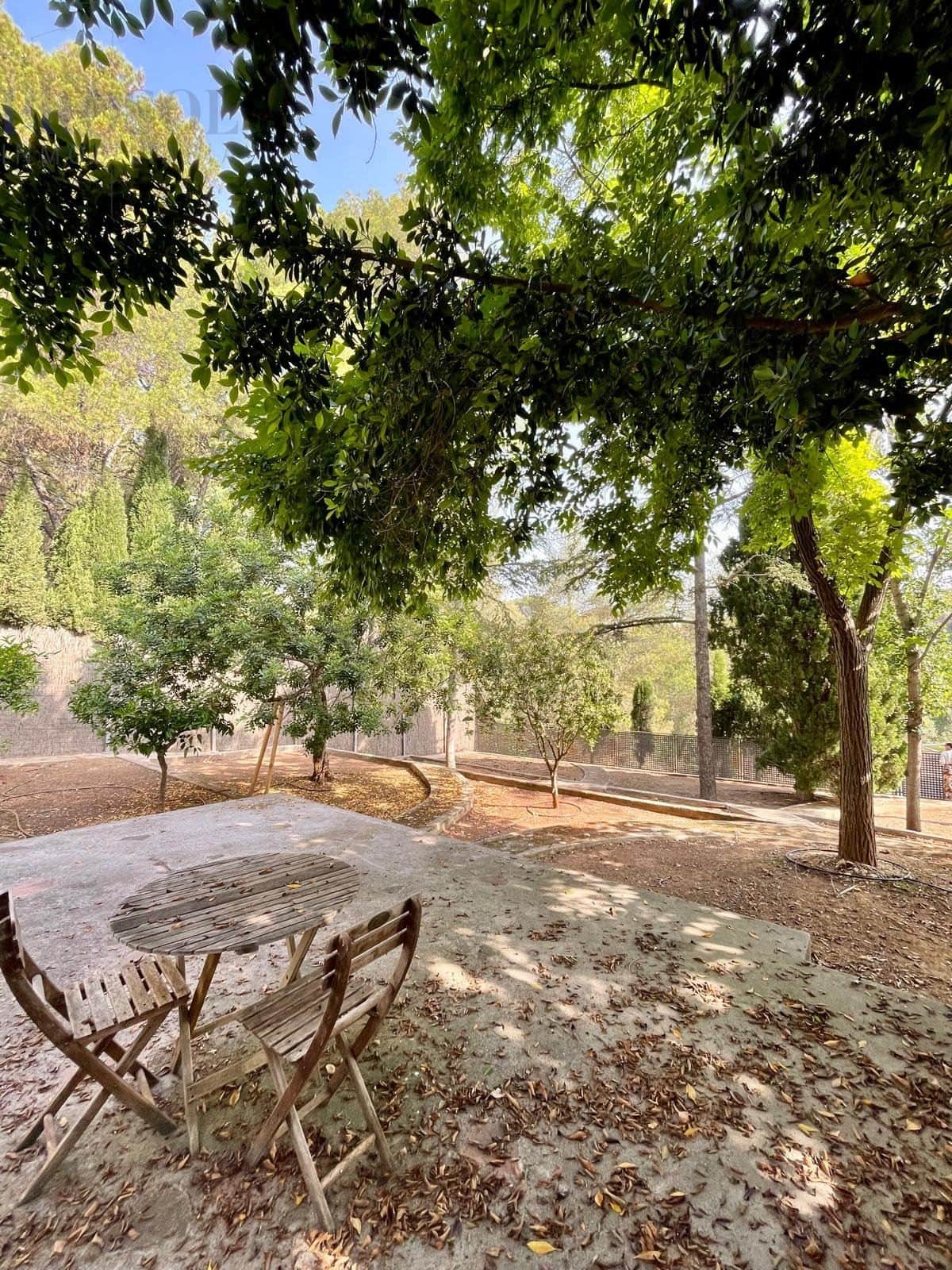 MASET EN FOIA DELS ANGELS - Foto 4