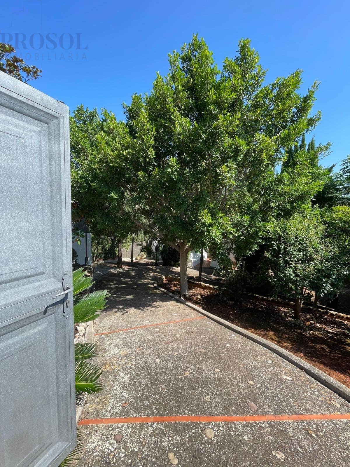 MASET EN FOIA DELS ANGELS - Foto 5