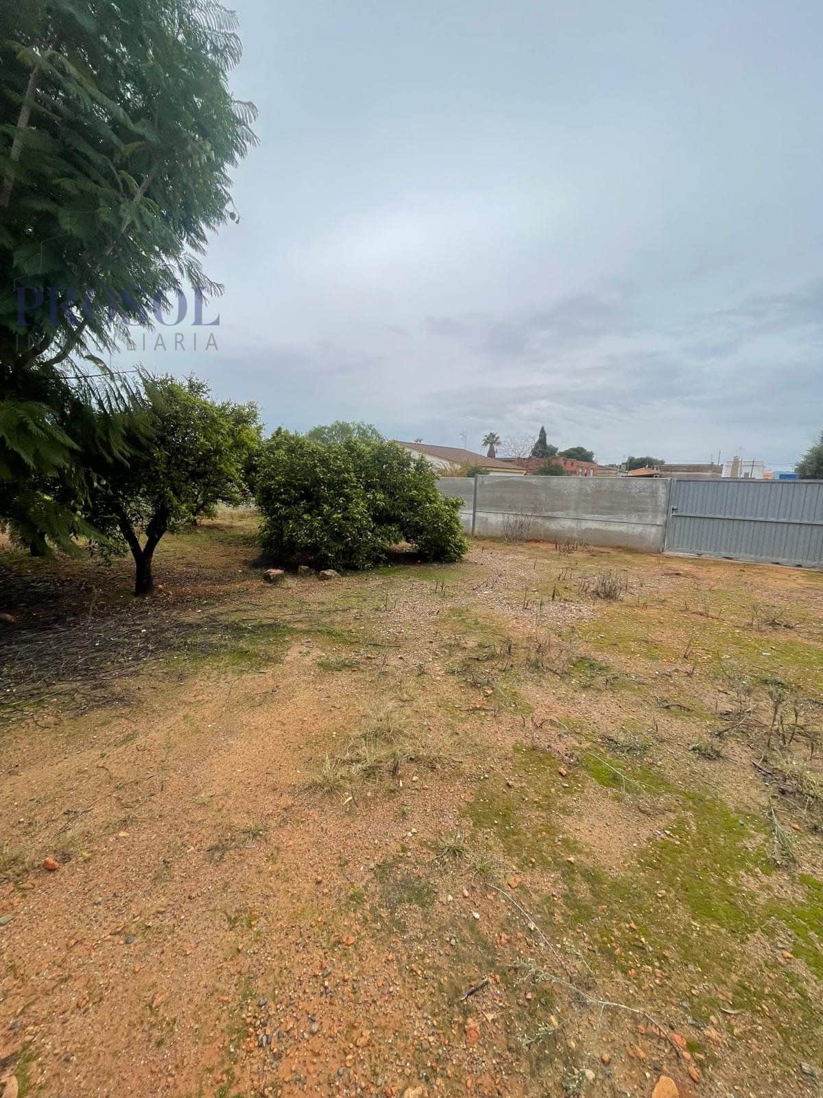 Finca rústica en venta en Villarreal - Foto 2