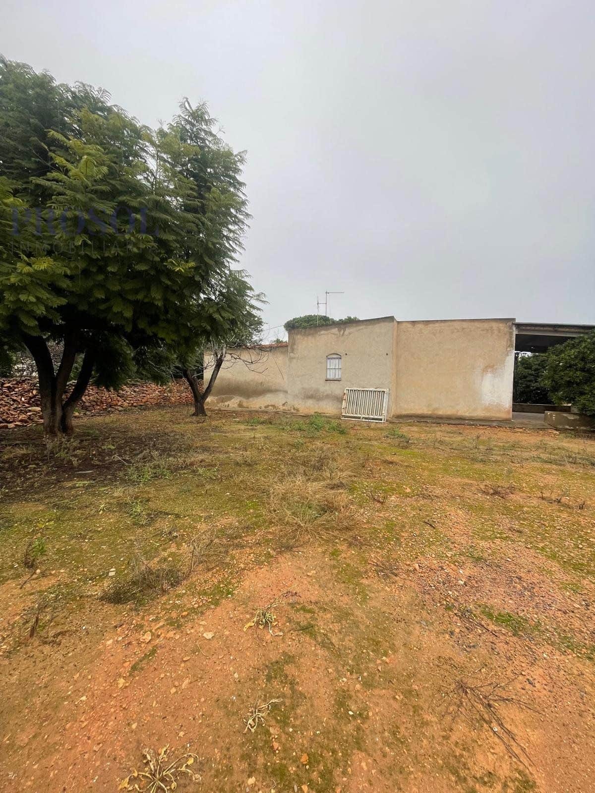 Finca rústica en venta en Villarreal - Foto 4