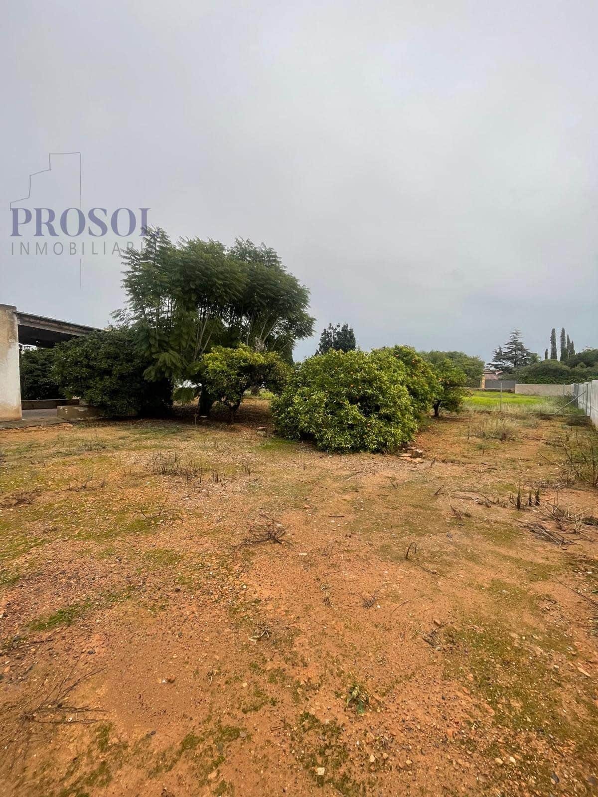Finca rústica en venta en Villarreal - Foto 3
