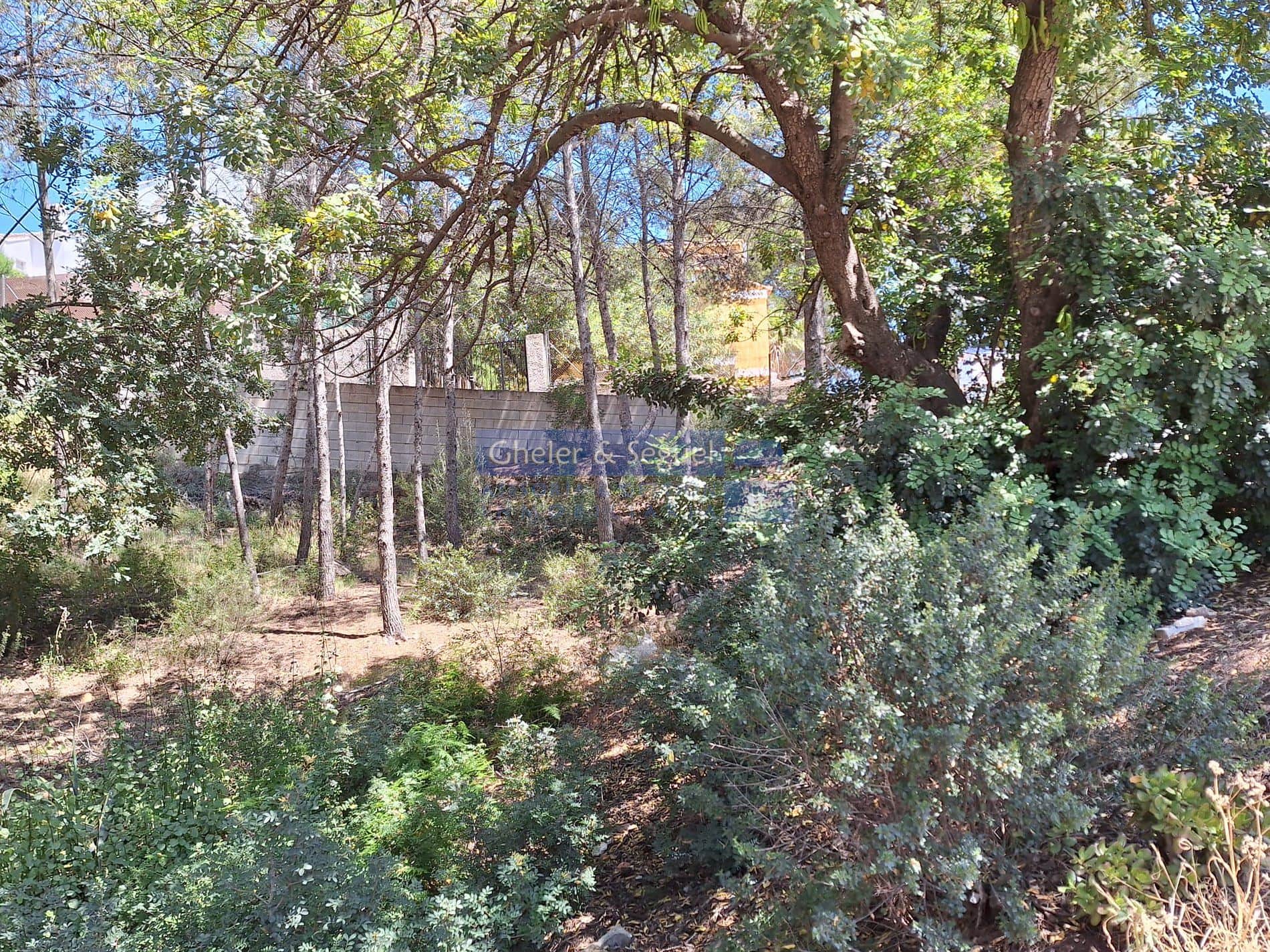 Oportunidad única en Urbanización La Paz – Gilet - Foto 2