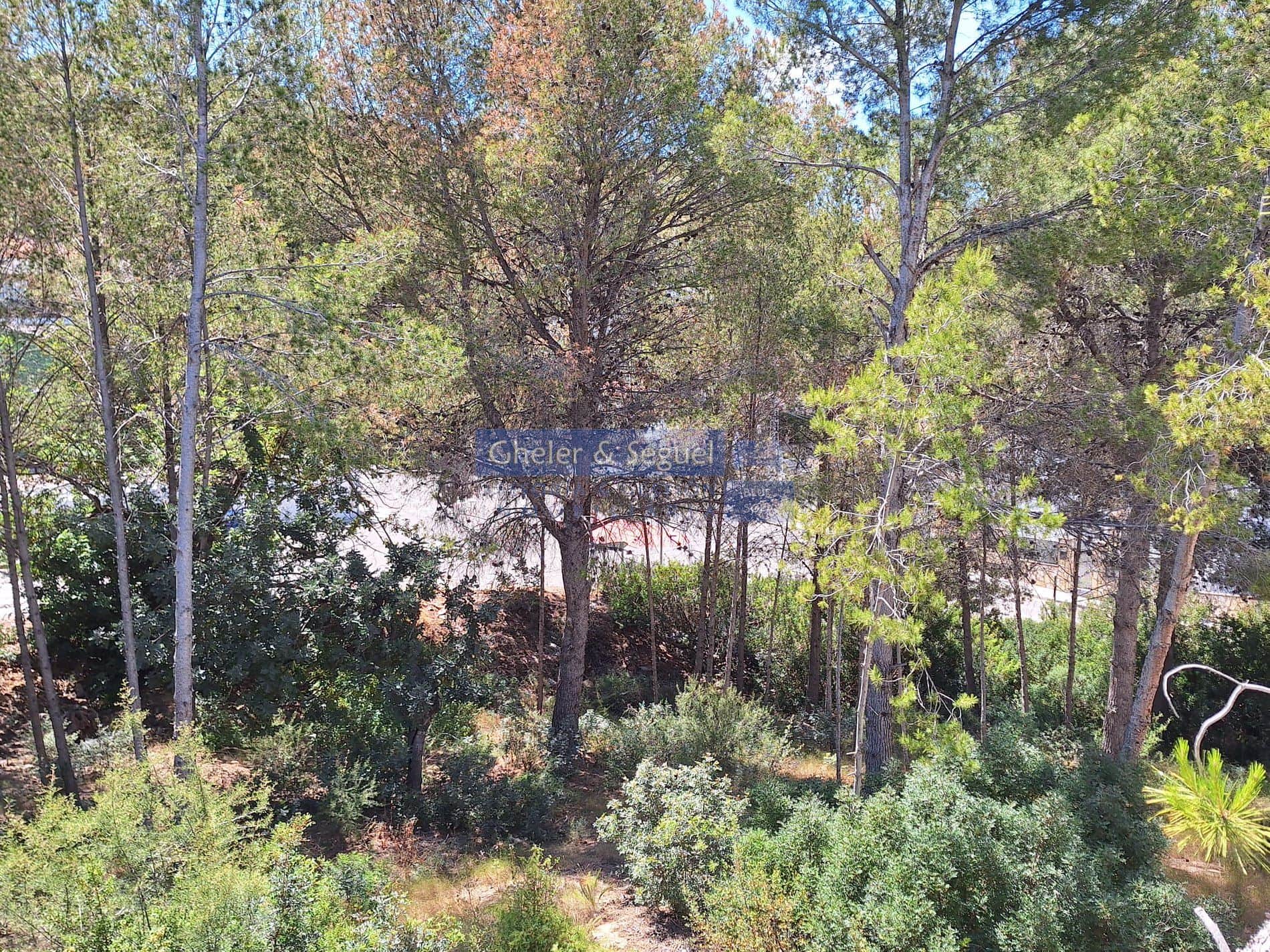 Oportunidad única en Urbanización La Paz – Gilet - Foto 4