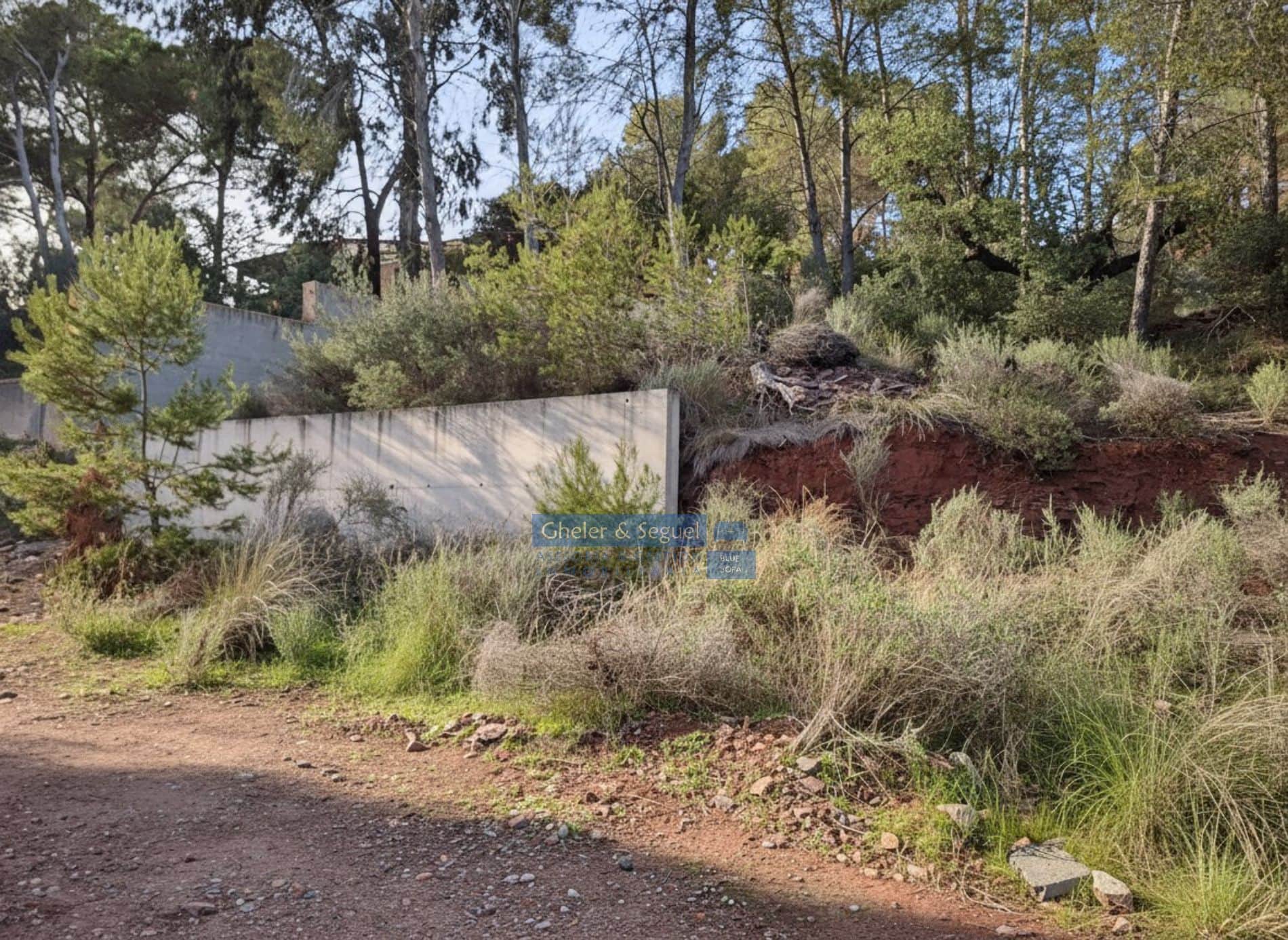 Solar en venta en Naquera - Foto 4