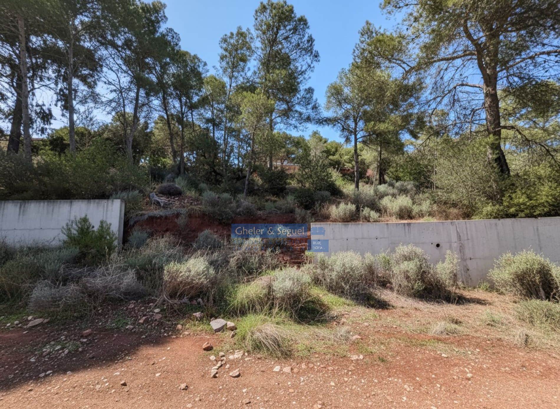 Solar en venta en Naquera - Foto 3