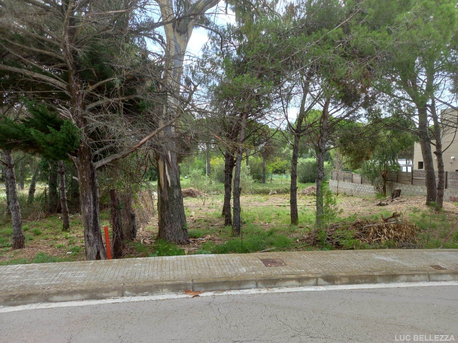 parcela zona garrigues con planos arquitecto y permiso obras - Foto 5
